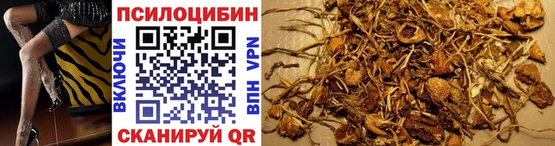Псилоцибиновые грибы GOLDEN TEACHER  где можно купить наркотик  Сосногорск 
